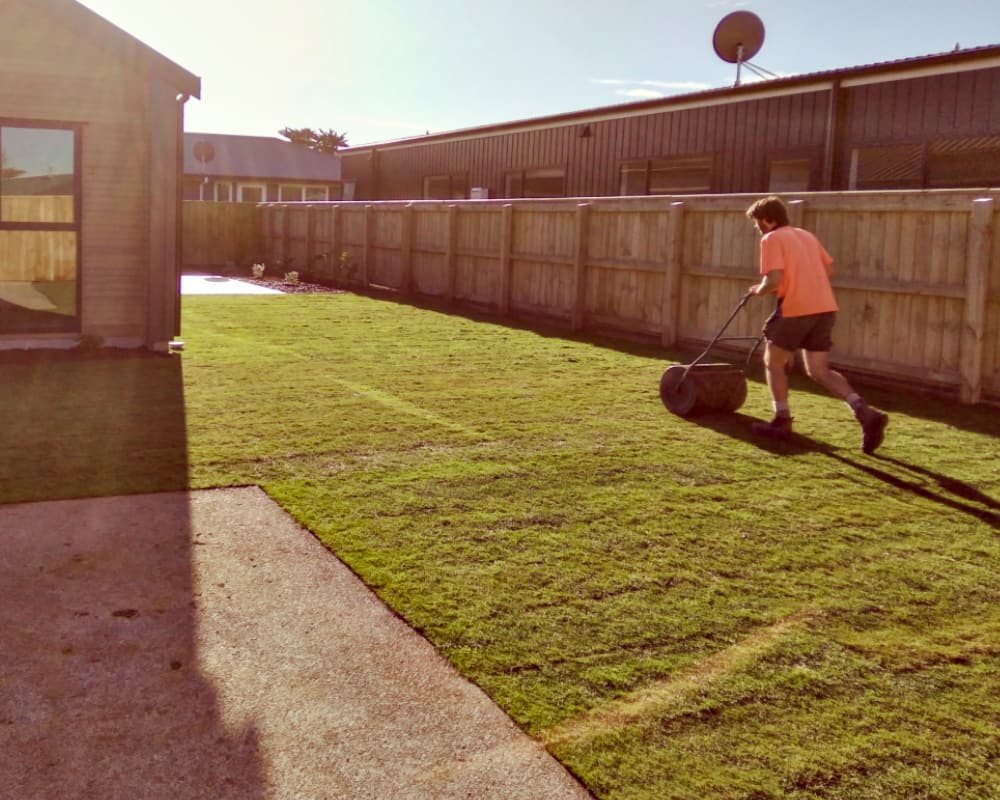 Rolling a New Lawn In Wairarapa Lawn rolling and lawn care in Wairarapa by KC Gardening Services