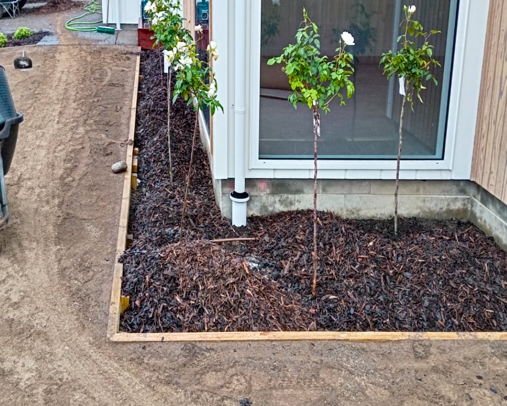 planting- contact planting contact